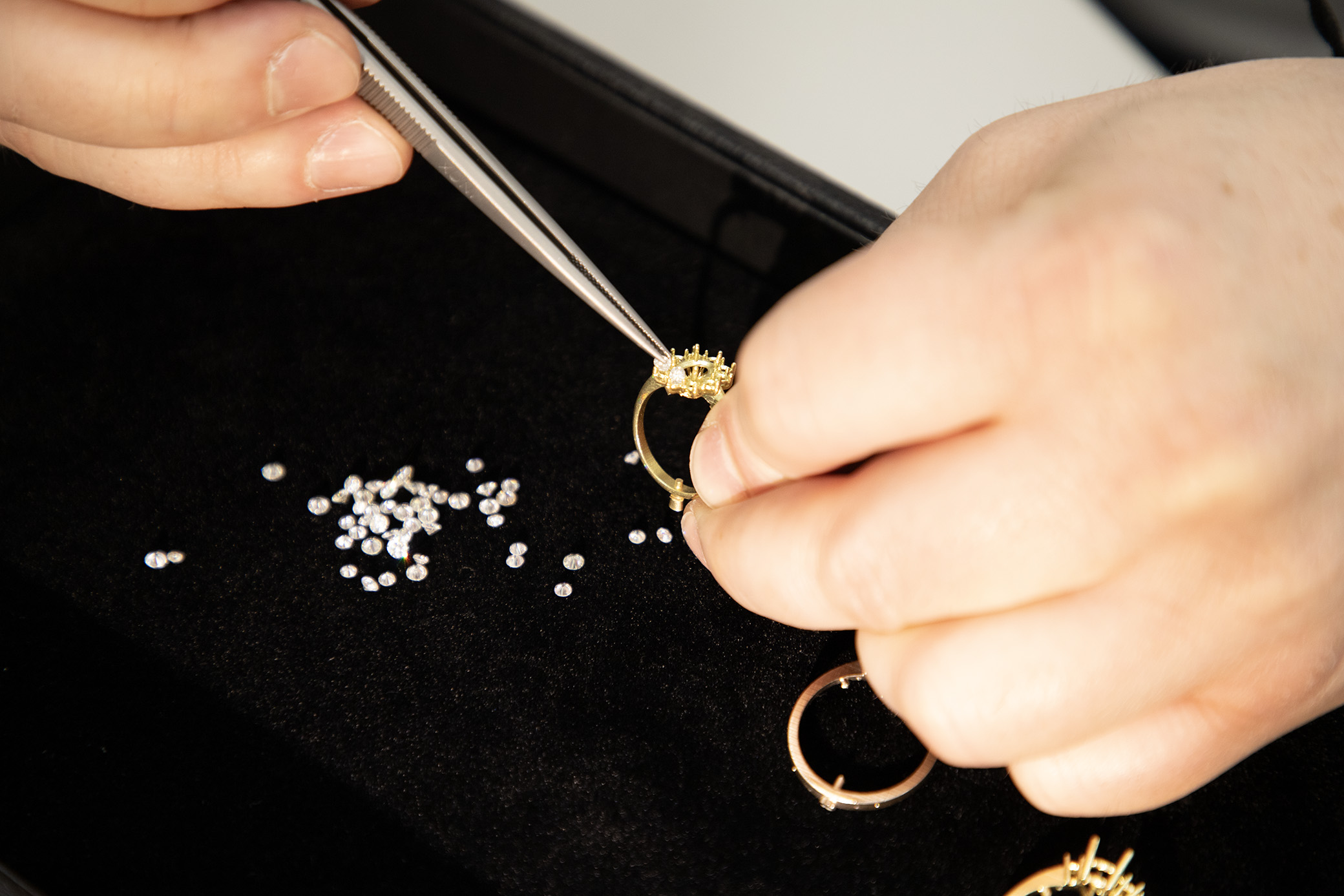 Copia di IMG_5660 copy